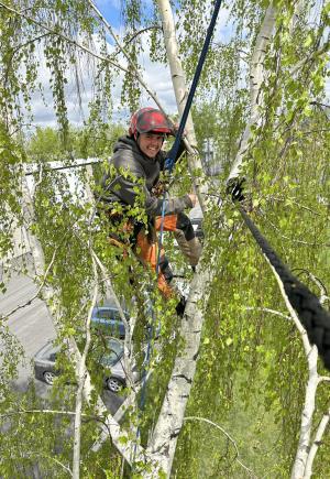 Arboriculture Granby Bromont