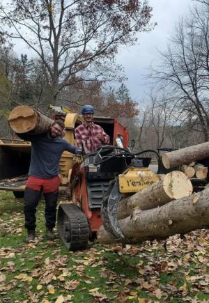 Essouchage Granby Bromont