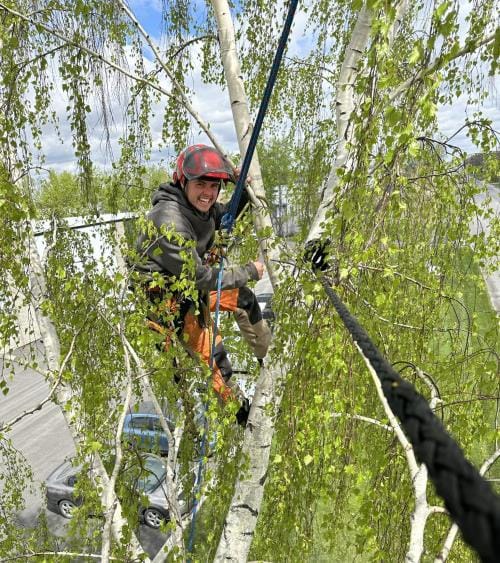 Haubanage Granby Bromont