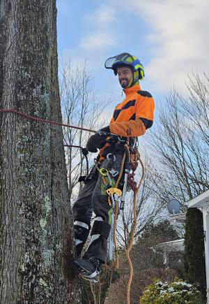Élagage Longueuil