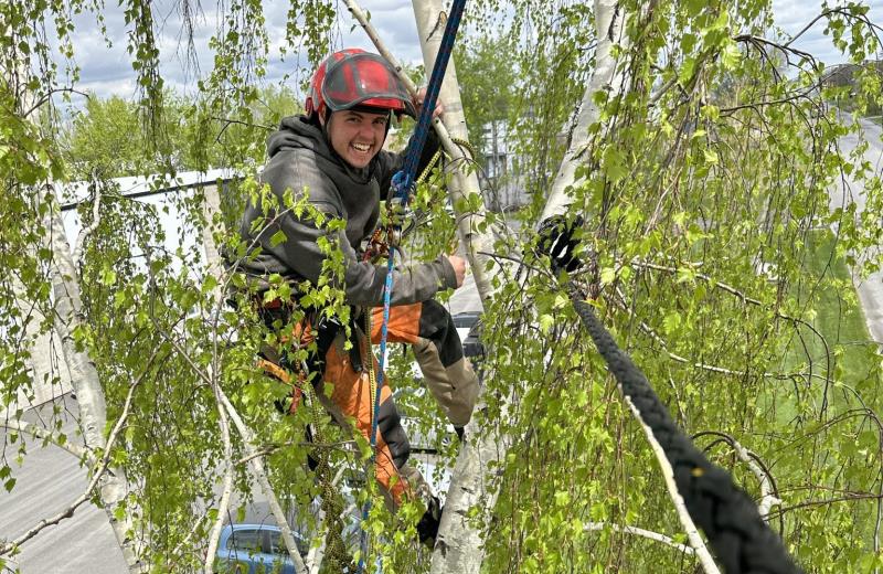 Arboriculture