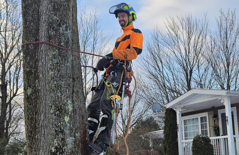 Tree Pruner
