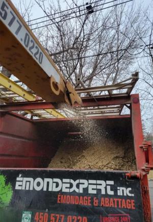 Élagage Saint-Jean-sur-Richelieu