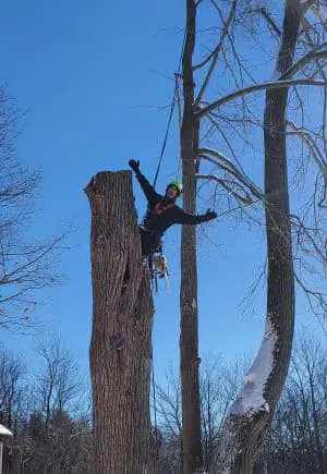 Abattage d'arbre Granby Bromont