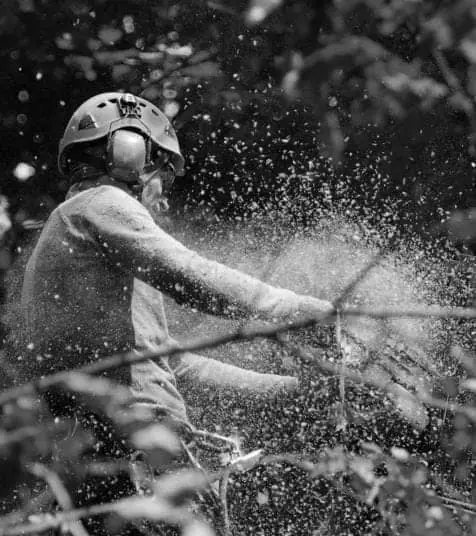 Élagueur emploi Granby Bromont