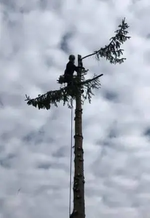 Émondeur Granby Bromont