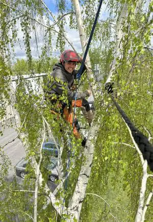 Élagage Longueuil