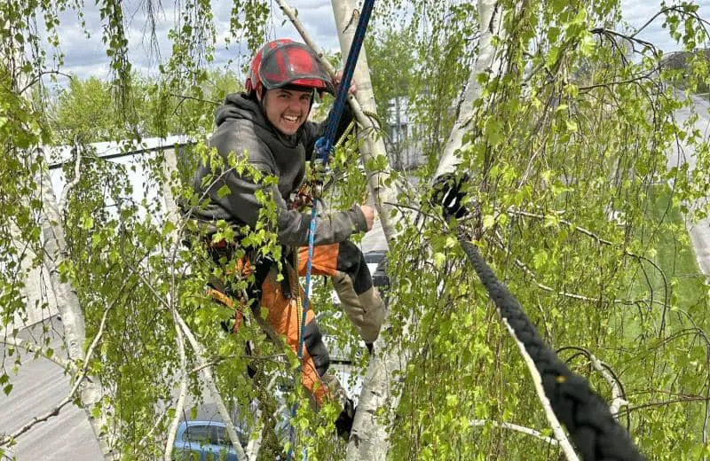 Arboriculture